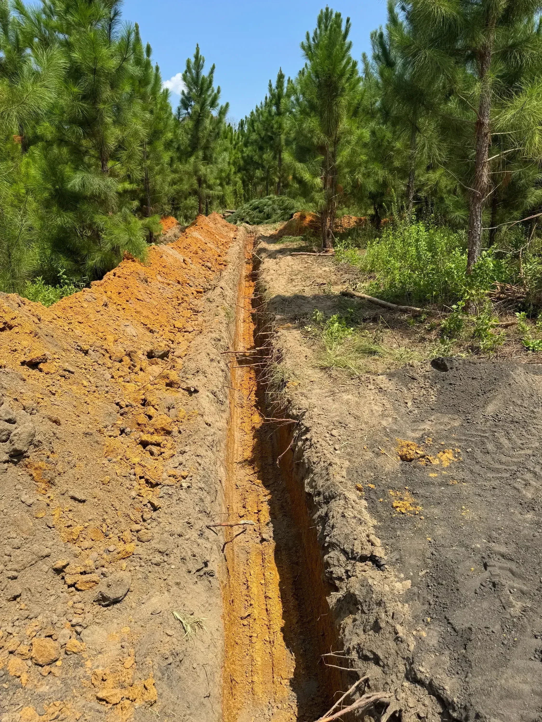 Excavated soil layers showing orange clay and gray subsoil with vegetation cleared from site