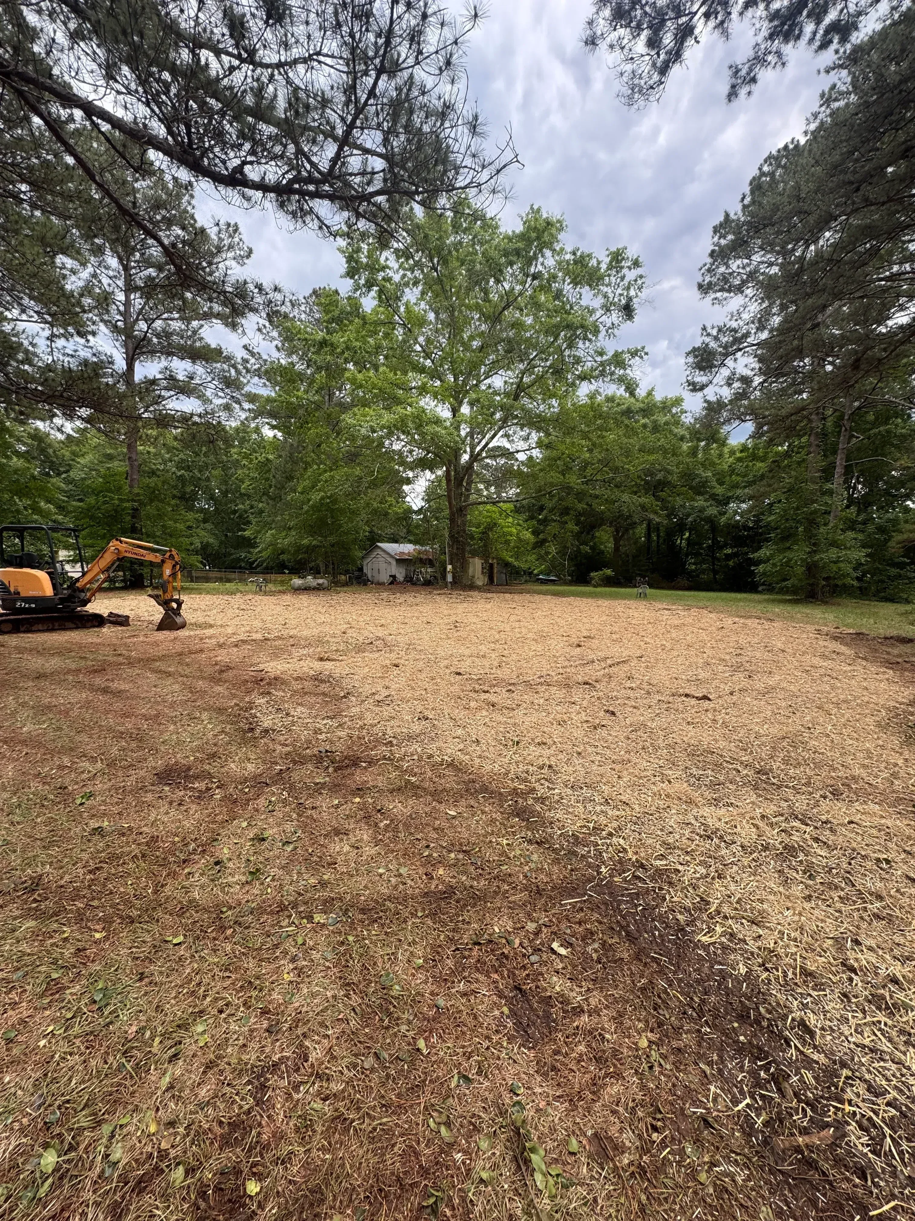 Excavator clearing overgrown lot with dead trees and brush debris