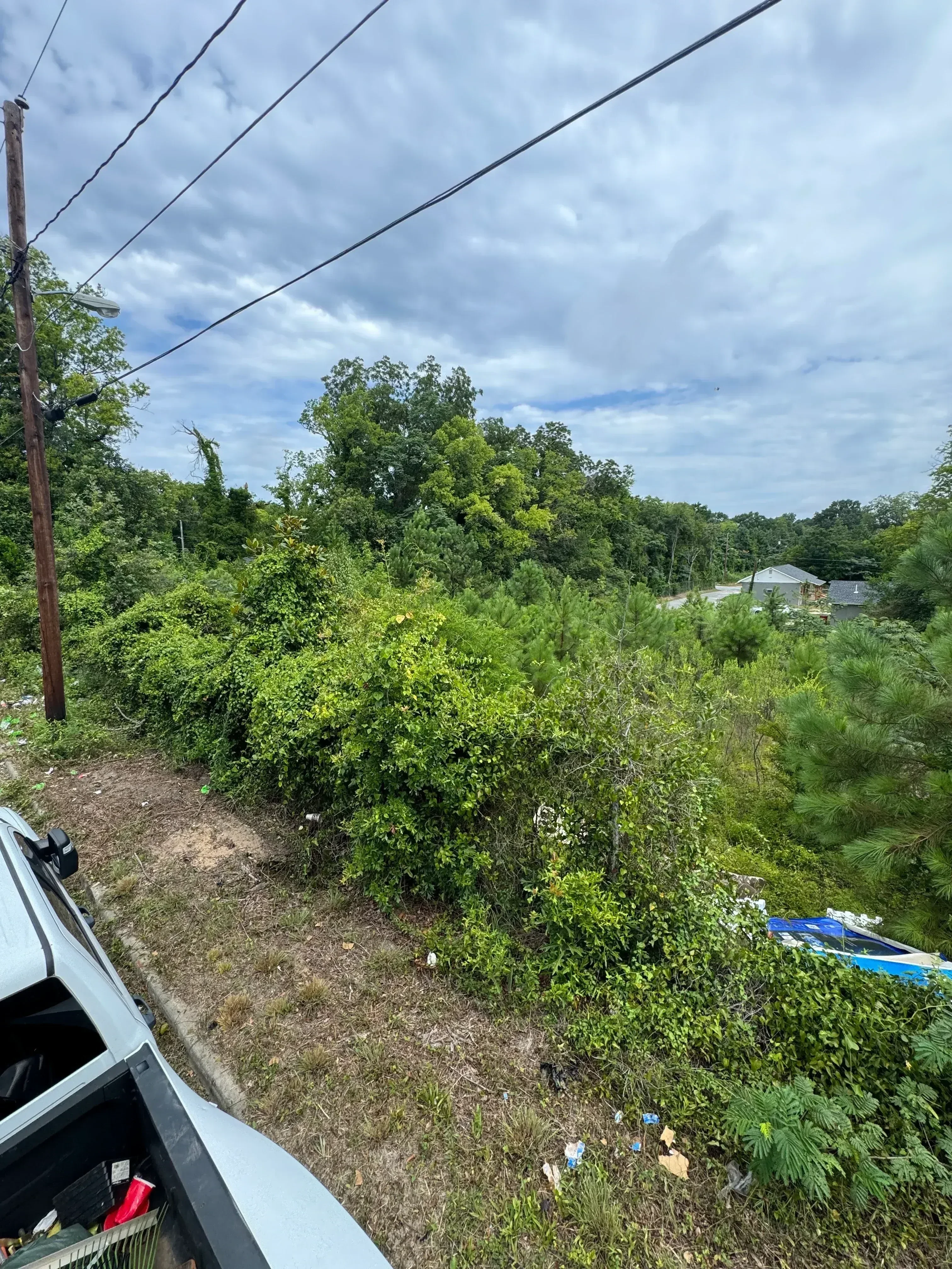 Cleared overgrown lot with removed vegetation and debris, before and after land clearing
