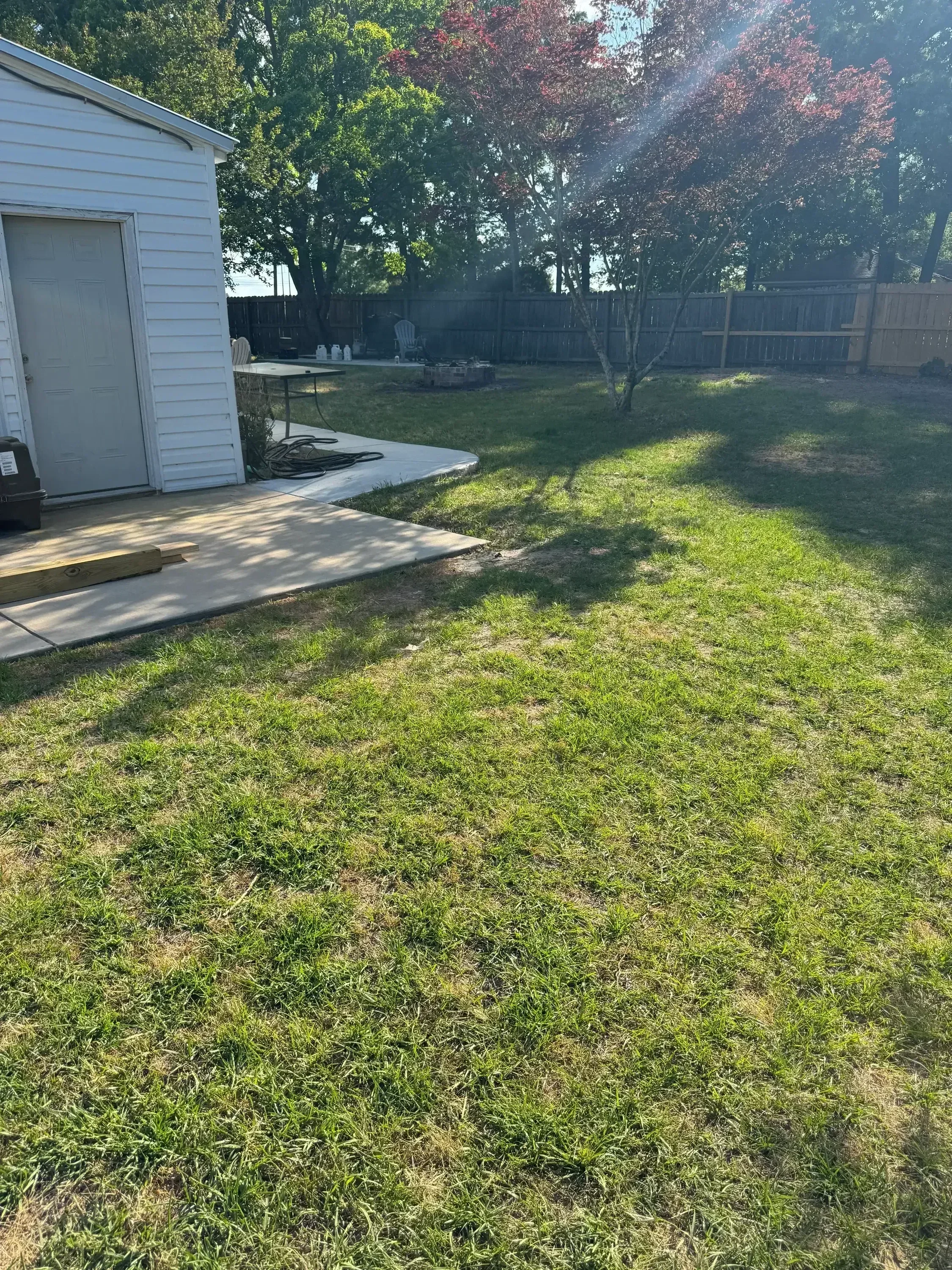 Cleared overgrown lot with exposed ground and removed vegetation debris