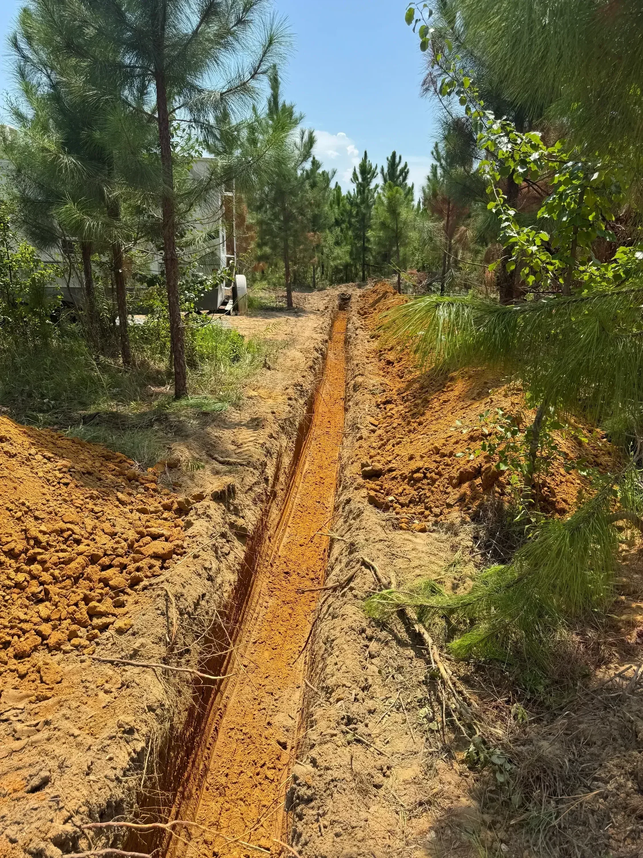 Cleared lot with graded clay soil, pine trees, and prepared building site